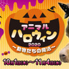 セガグループ、Orbi Yokohamaにて「アニマルハロウィン 2020～動物たちの魔法～」を開催
