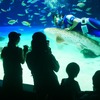 サンシャイン水族館、“何か”が起きている新企画「いきものディスカバリー」をスタート