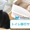 トレッタキャッツ、toletta利用全猫対象に「トイレ移行サポート」をスタート
