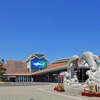 アクアワールド茨城県大洗水族館、大人向けの3夜限定特別イベント「オトナアクアリウム」を開催