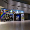 琵琶湖博物館、「守りたい！少なくなった生き物たち－未来につなぐ地域の宝物－」を開催