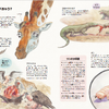 NHK出版、「ウンチでわかるいきもの図鑑」と「世界一キモイいきもの図鑑」の2冊を同時刊行