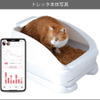 トレッタキャッツ、米国で開催される「Cat Summit」に日本代表として選出