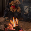 愛犬と眺める焚火