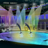 アクアワールド茨城県大洗水族館に「クラゲ大水槽」が新登場