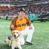 日本介助犬協会、読売巨人軍菅野投手とのコラボグッズ発売