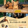 『劇場版 岩合光昭の世界ネコ歩き　あるがままに、水と大地のネコ家族』　(C)「劇場版 岩合光昭の世界ネコ歩き2」製作委員会　(C) Mitsuaki Iwago
