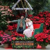 神戸どうぶつ王国、本物のトナカイと過ごす「王国のメリークリスマス」を開催