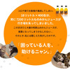 和歌山みかん100％を使用した「ニャンジュース」の予約開始
