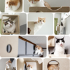 LIXIL、愛猫の性格や成長に合わせて、自由自在にレイアウト変更可能なマグネット脱着式キャットウォール「猫壁」を開発