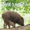 第1回日本写真絵本大賞・金賞受賞作「うりぼうと母さん」