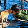 そごう千葉店、写真展「劇場版 岩合光昭の世界ネコ歩き あるがままに、水と大地のネコ家族」を開催