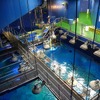 アクアワールド茨城県大洗水族館、 夜間限定イベント「NIGHT AQUAWORLD」を開催