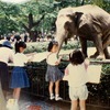 兵庫県、「思い出の遊園地・テーマパーク」第1弾をヒョーゴアーカイブスに公開