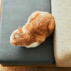 RINN監修のソファ「Luu sofa Cat Life model」