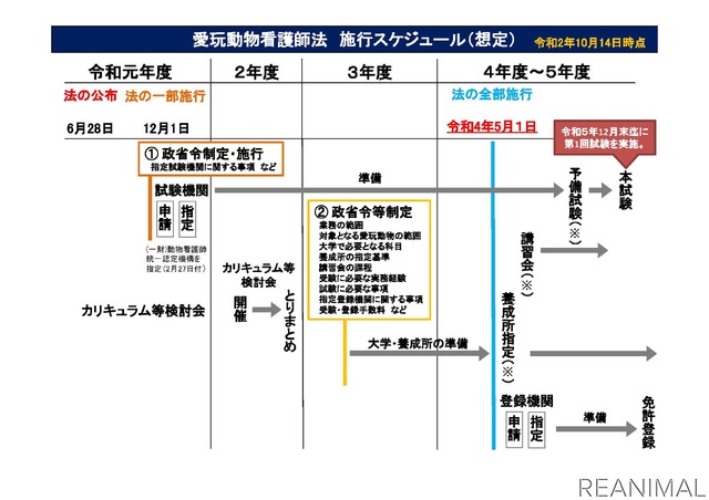 愛玩動物看護師法 の成立で 動物看護師が国家資格に 動物のリアルを伝えるwebメディア Reanimal